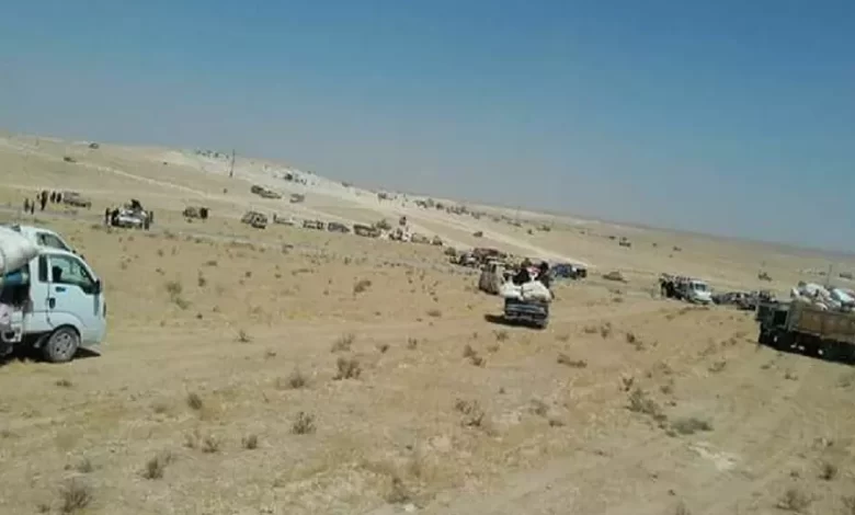 عقيربات - وادي العزيب - مصدر