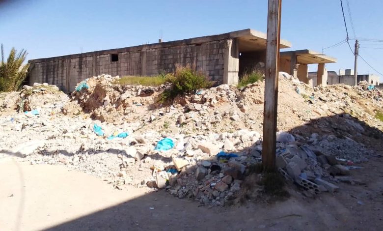 كرم الزيتون . حمص