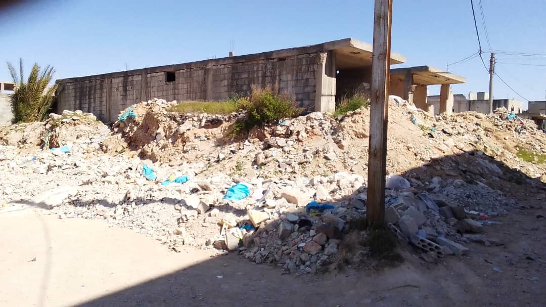 كرم الزيتون . حمص