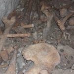 رفات عثر عليها داخل مبنى أمن الدولة في معرة النعمان بإدلب