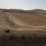 حويسيس - البادية السورية - ريف حمص الشرقي - جريدة مصدر