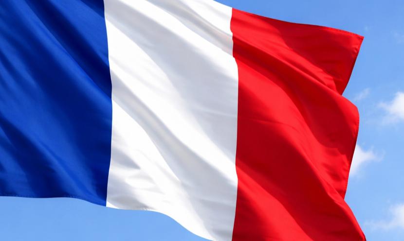 فرنسا بالعربي - جريدة مصدر