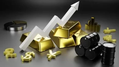 سعر النفط الخام